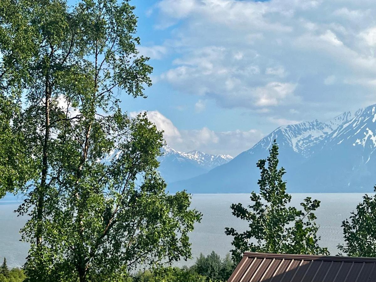 فيلا Indian Ak 25 Min To Anchorage & 25 Min To Girdwood المظهر الخارجي الصورة