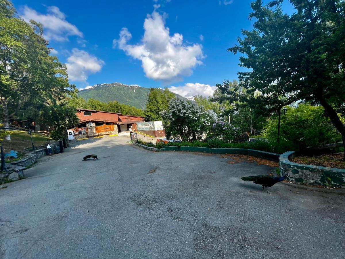 فيلا Indian Ak 25 Min To Anchorage & 25 Min To Girdwood المظهر الخارجي الصورة